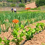 Terra Di Ea Farm stay Tortoreto