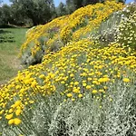 Terra Di Ea Farm stay