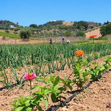 Farm stay Terra Di Ea *