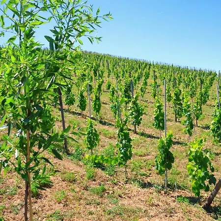 Lantgård Terra Di Ea *