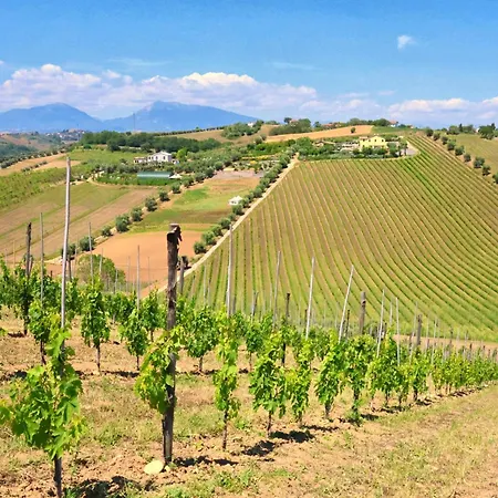 Terra Di Ea * Tortoreto