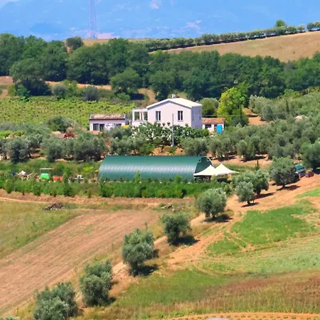 Terra Di Ea