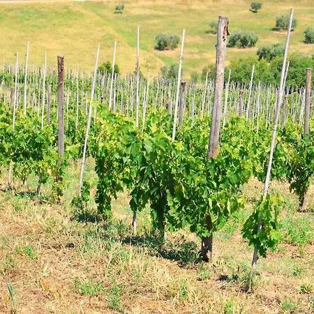 Terra Di Ea * Tortoreto