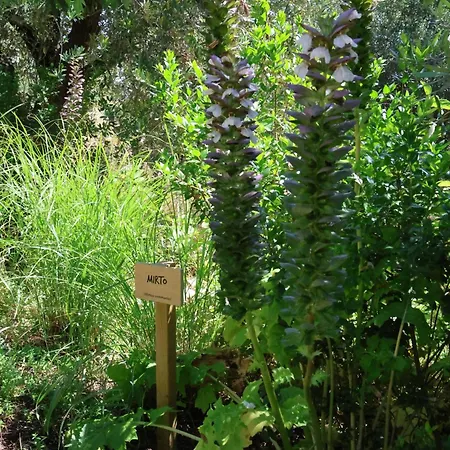 Lantgård Terra Di Ea *