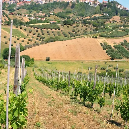 Lantgård Terra Di Ea Tortoreto