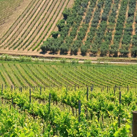 Lantgård Terra Di Ea *