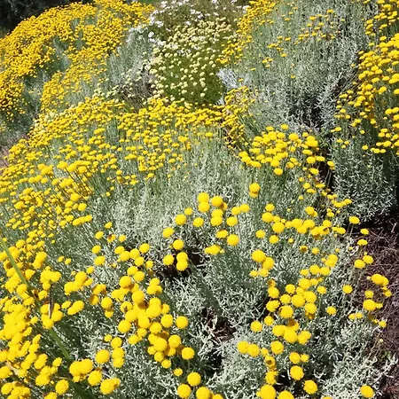 Terra Di Ea Lantgård