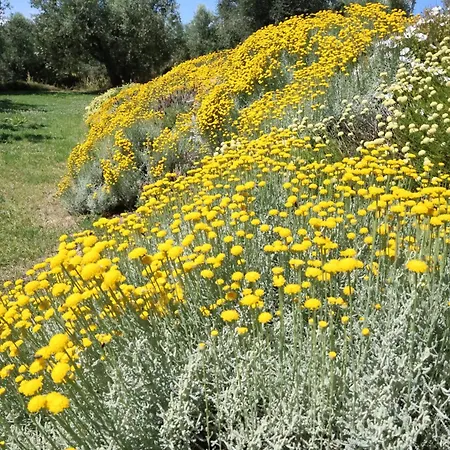 Terra Di Ea Lantgård