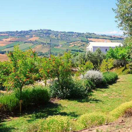 Terra Di Ea Farm stay *