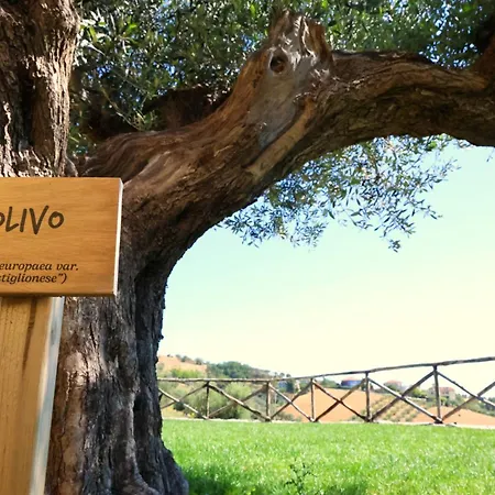 مزرعة للإقامة Terra Di Ea Tortoreto