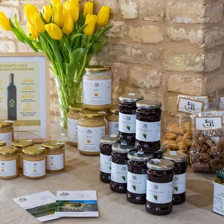 Lantgård Terra Di Ea