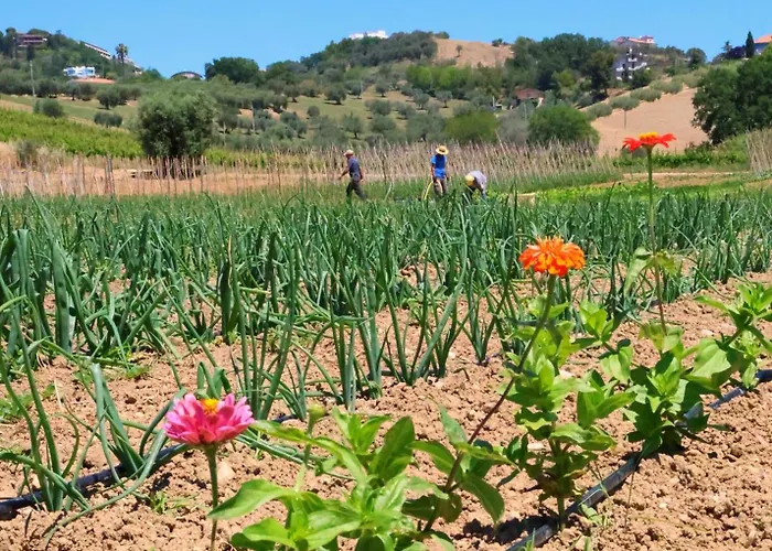 Farm stay Terra Di Ea *