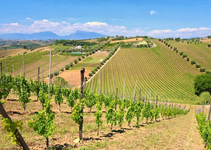 Terra Di Ea * Tortoreto