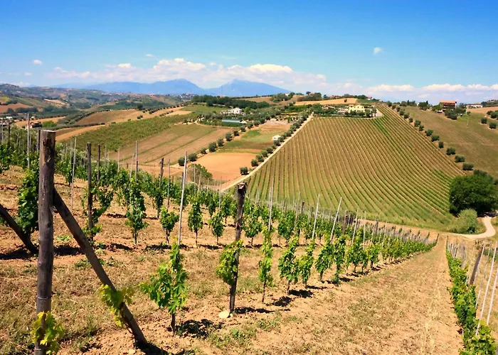 Farm stay Terra Di Ea Tortoreto