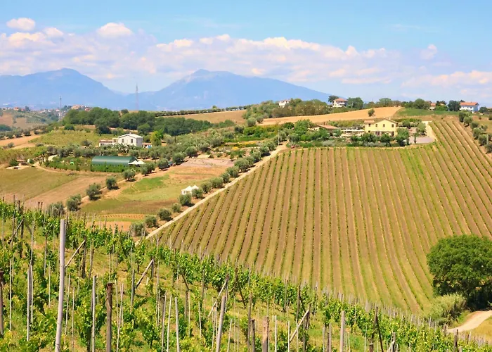 Terra Di Ea Farm stay Tortoreto