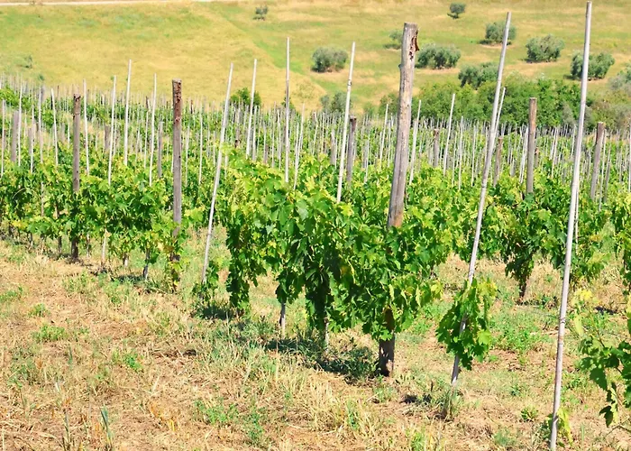 Terra Di Ea * Tortoreto