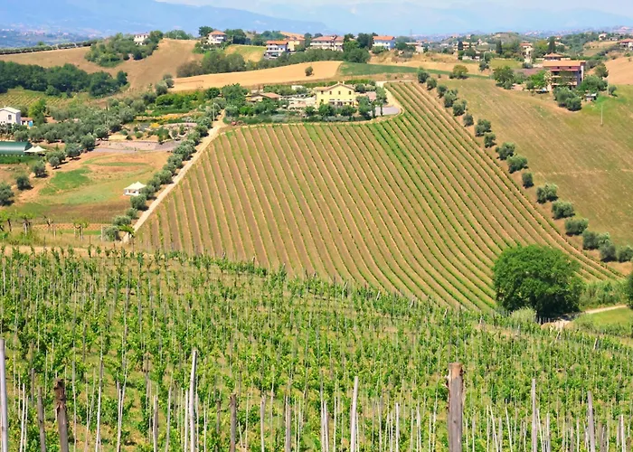 Terra Di Ea Farm stay Tortoreto