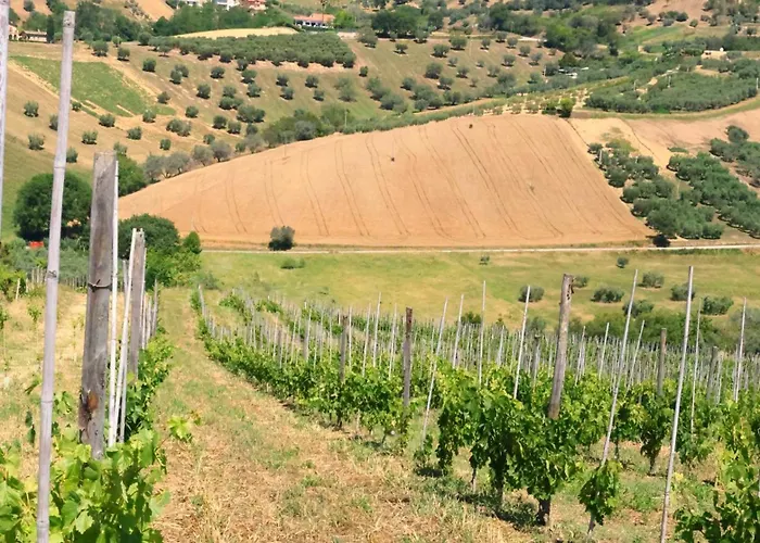 Farm stay Terra Di Ea Tortoreto