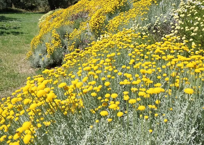 Terra Di Ea Farm stay