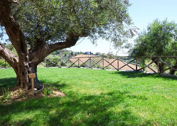 Terra Di Ea Farm stay Tortoreto