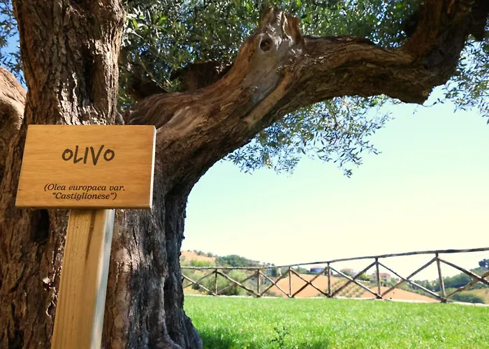 Farma Terra Di Ea Tortoreto